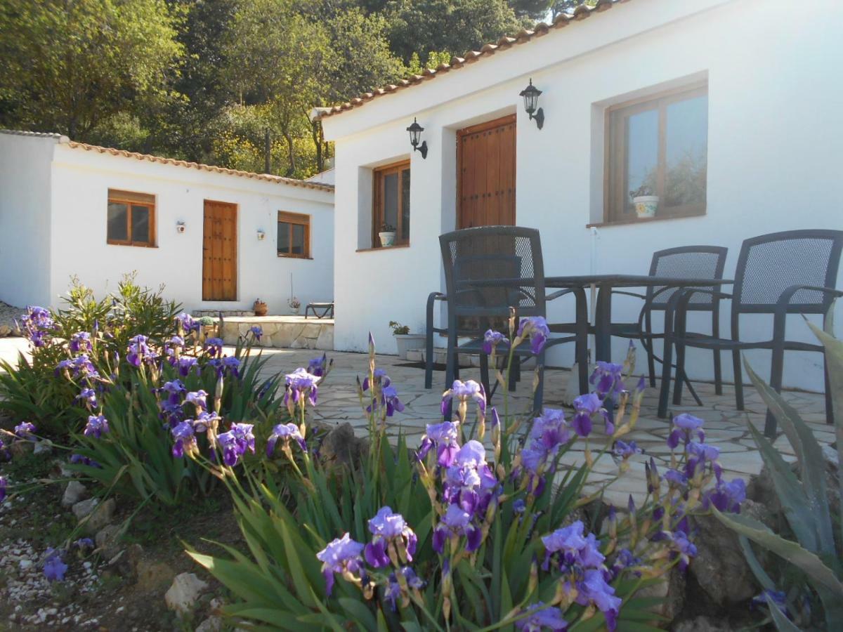 Вилла La Casita, Zagra Ла-Каррера-де-ла-Винья Экстерьер фото